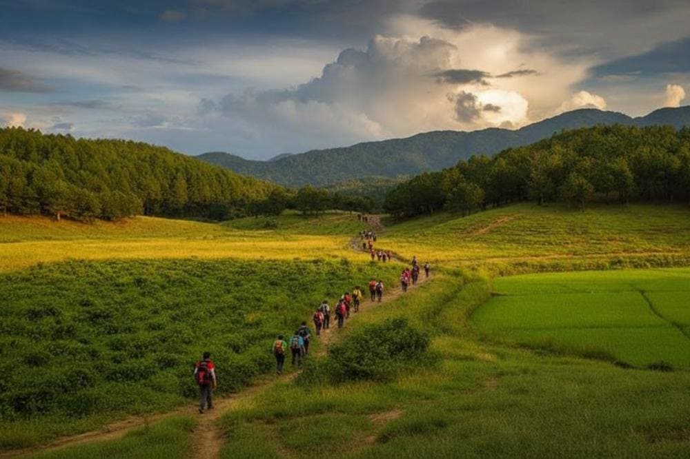 Rừng T&agrave; Năng l&agrave; một phần của cung đường trekking T&agrave; Năng - Phan Dũng nổi tiếng.
